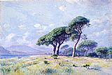 Cannes by William Stanley Haseltine